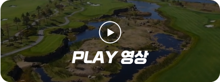 play영상